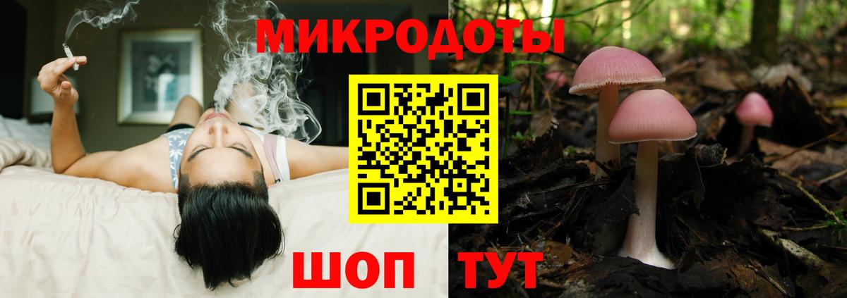 Знаменск  Галлюциногенные грибы прущие грибы  Вход с VPN 
